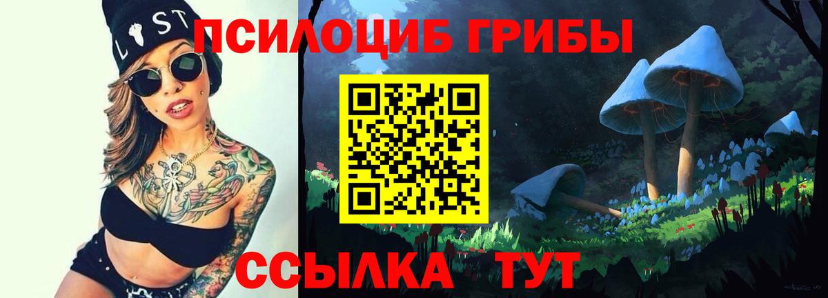 Нижнеудинск  Псилоцибиновые грибы Cubensis  Псилоцибиновые грибы Magic Shrooms  Вход с VPN 